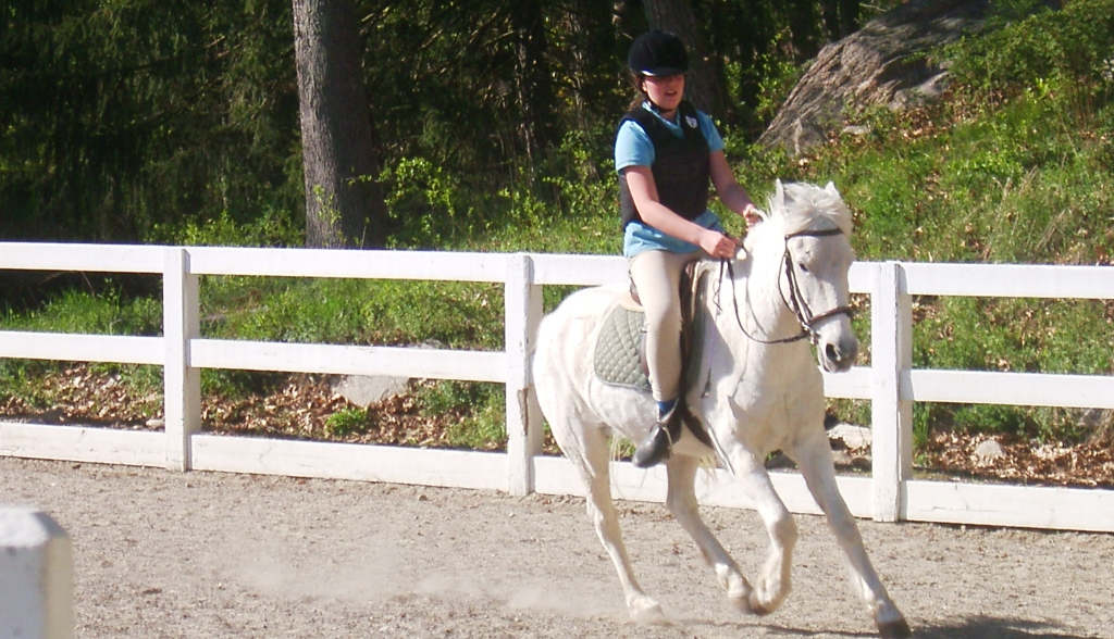 Equine Assisted Learning