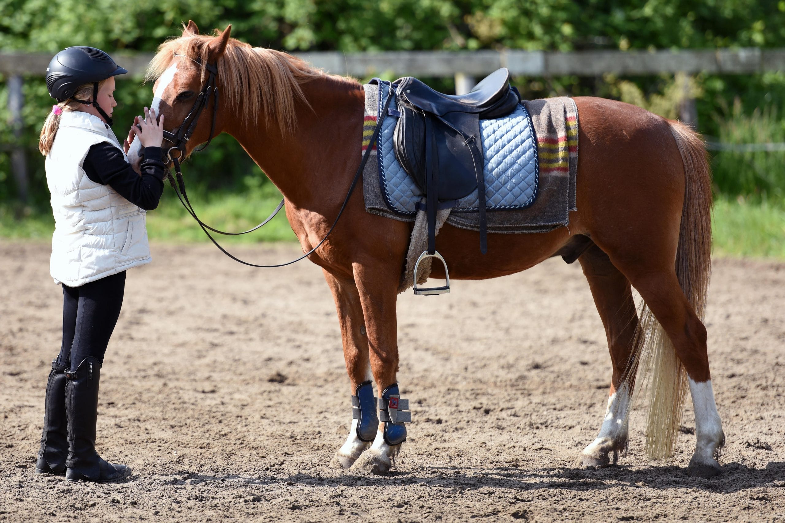 EquestrianTherapy.com: Your Guide to Equine-Assisted Therapy