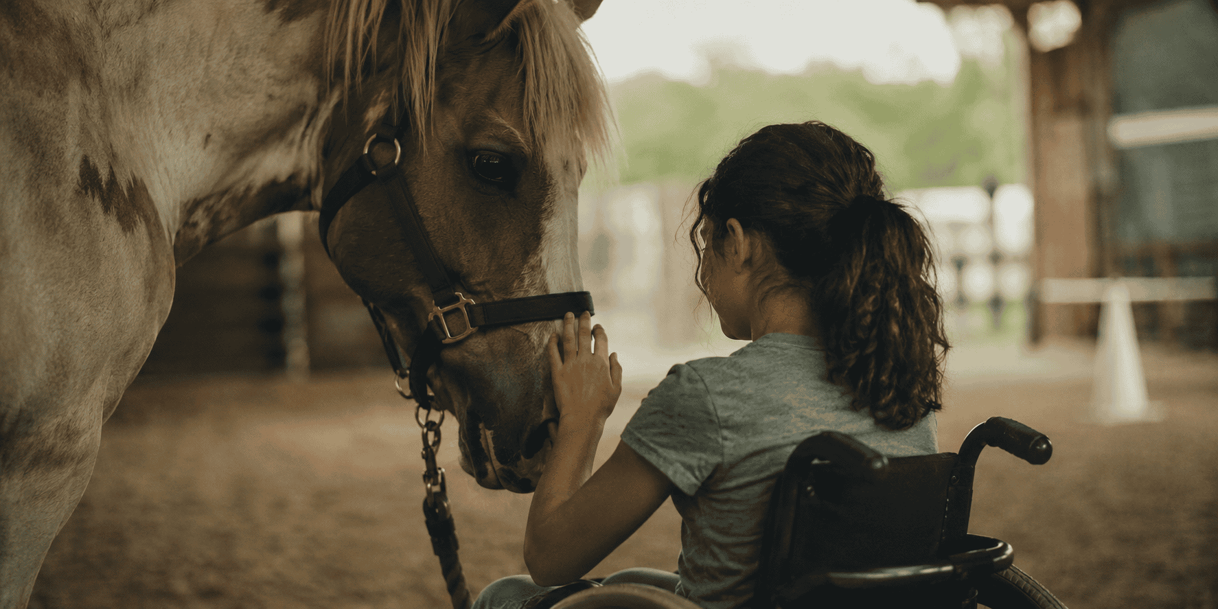 Child in a wheelchair gently touching a therapy horse in a quiet indoor riding arena.