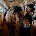 Equine Therapy Certification